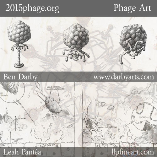 Phage Art