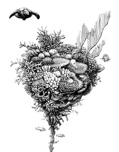 A drawing of a turle and a coral reef ark
