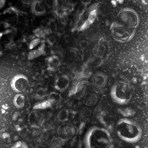 An artistic representation of dark matter